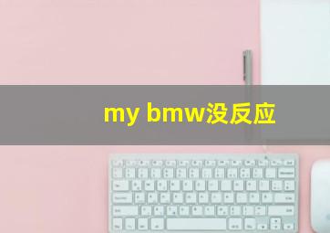 my bmw没反应